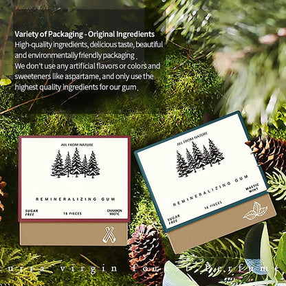 Remineralizing Chewing Gum, 2025 Organic Natural Mastic Mint Gum Sugar Free Freshen Breath for Teeth Health Enamel Care 4 Boxes